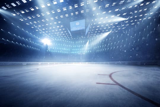 The Future Direction of the Mecca of Hockey (The Toronto Maple Leafs)